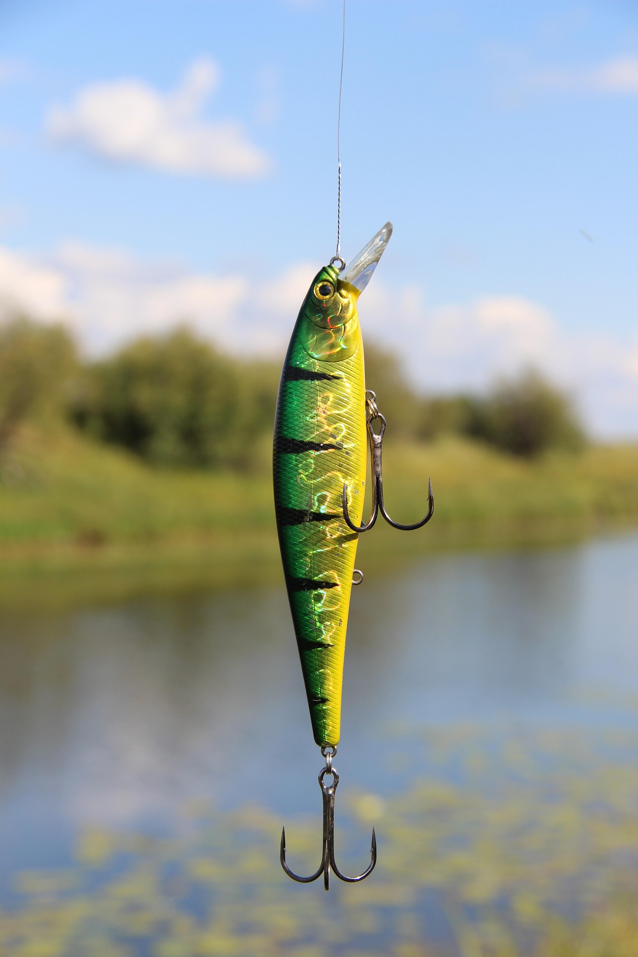 Visuitrusting Winkel 4 Visuitrusting Winkel -Visuitrusting Winkel fish 5722019 1920