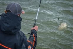 Guru A-Class Method Feeder -Visuitrusting Winkel guru a class method feeders 4