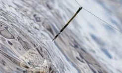 Guru Feederlinks -Visuitrusting Winkel guru feederlinks 6