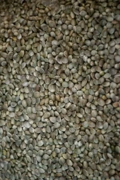 Hennep 10kg -Visuitrusting Winkel hengelsportlauwe hennep 10kg 2